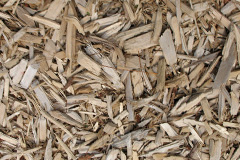 biomass boilers Rhiwceiliog
